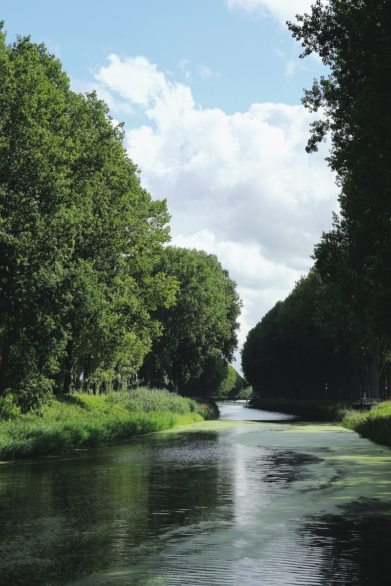 Photo by Les Argonautes river between trees