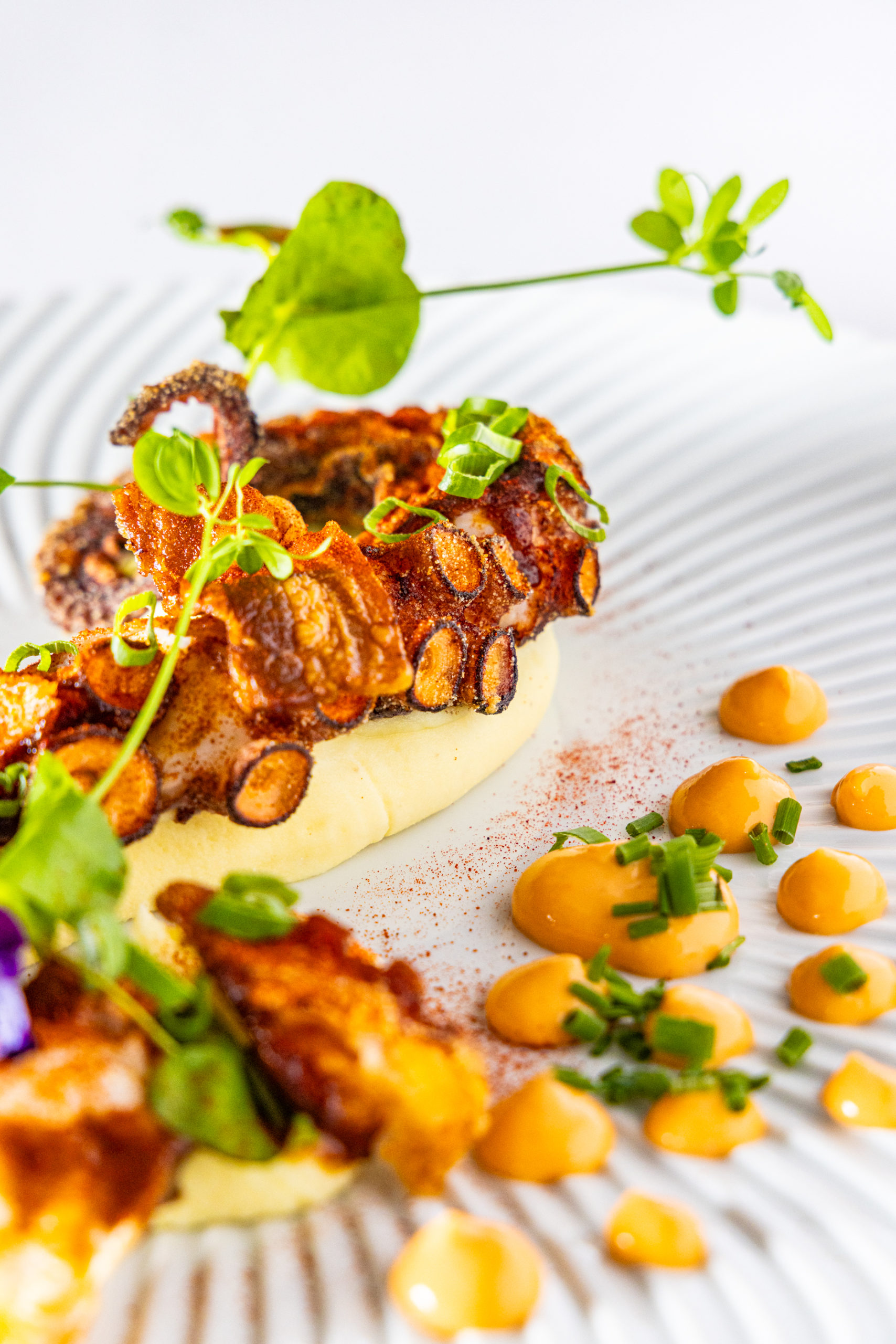2407-PTIT REPERE DU GOUT-Culinaire-48 2407-PTIT REPERE DU GOUT-Culinaire-48